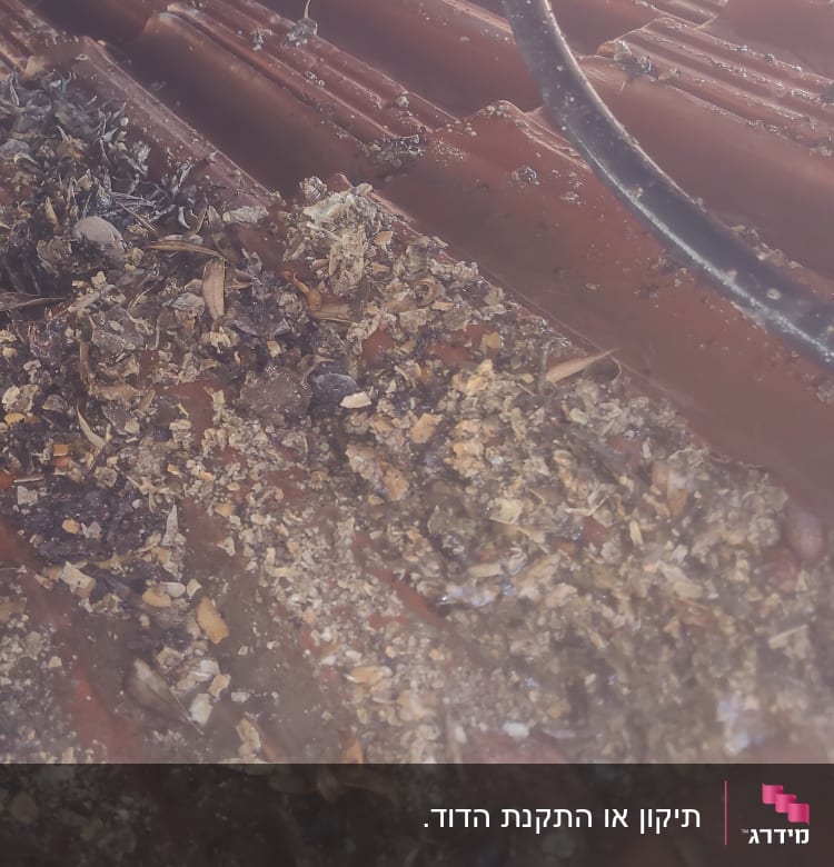 חוט חשמל על גג רעפים עם לכלוך